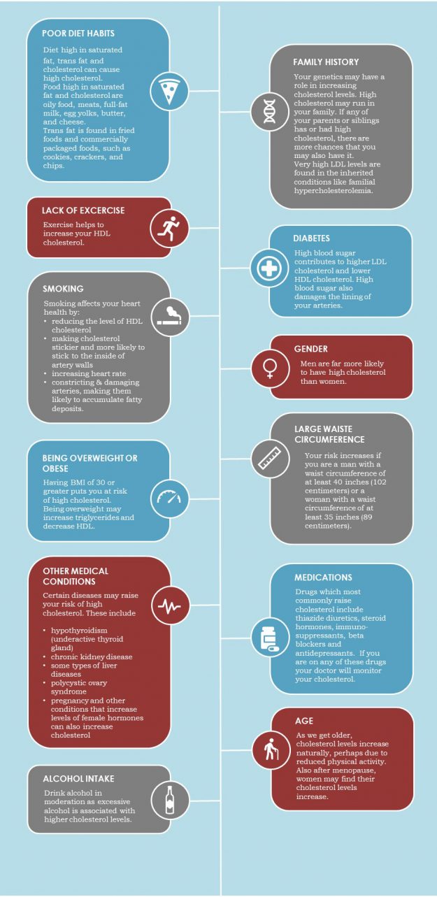 what causes high cholesterol