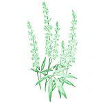 MenoRhythm, Hot Flush Relief Tablets 30s - image  on https://kytos.com.au