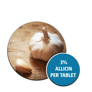 Why Choletos - image Choletos-ingredient-Garlic on https://kytos.com.au